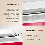 Встраиваемая вытяжка Hansa OTP6251WH VSK2321598 фото